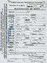 June Catherine Quinn - Birth Record June Catherine Quinn - Birth Record
