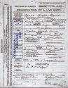 James Moore Quinn - Birth Record James Moore Quinn - Birth Record