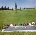 Michael and Rose Quinn - Gravesite