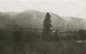 Moses Franklin McAnelly home in the distance - Kootenay Valley, Idaho