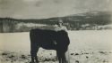 Pearl McAnelly Griesinger and her cow - Copeland, Idaho