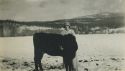 Pearl McAnelly Griesinger and her cow - Copeland, Idaho Pearl McAnelly Griesinger and her cow - Copeland, Idaho