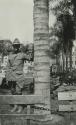 1918 - Balboa Park, San Diego, California