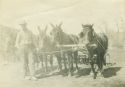 M Emmet Quinn with his mules