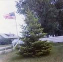 M Emmet and Alice Quinn home in Big Sandy, MT M Emmet and Alice Quinn home in Big Sandy, MT