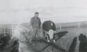 Quinn Farm - M Emmet Quinn with bull Quinn Farm - M Emmet Quinn with bull