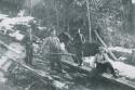 Michael, M Emmet, Eugene Quinn and unknown man - logging Michael, M Emmet, Eugene Quinn and unknown man - logging