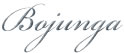 Bojunga Family